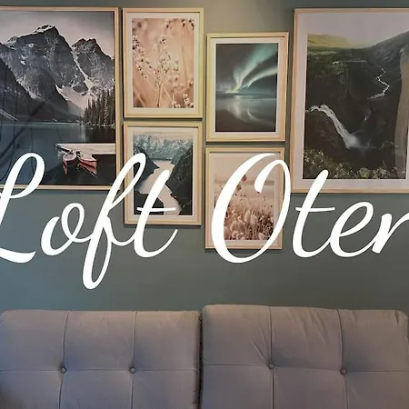 Les Gites Du Canal Du Midi - Gite Loft'Oten Avignonet-de-Lauragais Extérieur photo